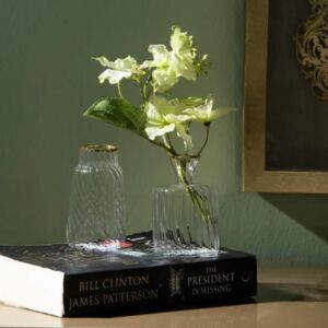 مزهرية صغيرة أكتوس