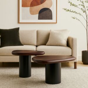 طاولة قهوة قطعتين بونال - بني واسود