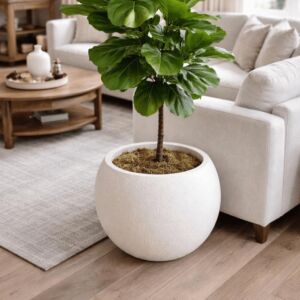 مركن زرع فخار وسط سيزارو - ابيض