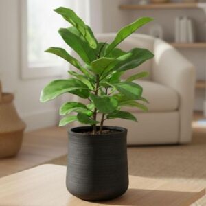 مركن زرع فخار حجم صغير سيما - اسود