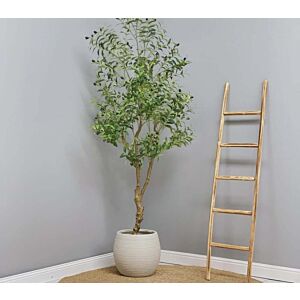 شجرة زيتون صناعية 200 سم مورو - اخضر واسود