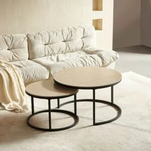 طاولة قهوة من الحجر الملبد من بيليسيا - طقم من قطعتين