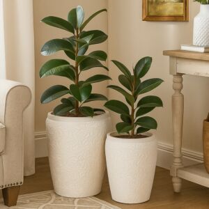 طقم مركن زرع مود - ابيض