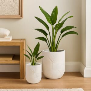 طقم مركن زرع سول - ابيض