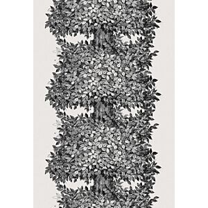 ورق جدران جيرد - اسود وابيض