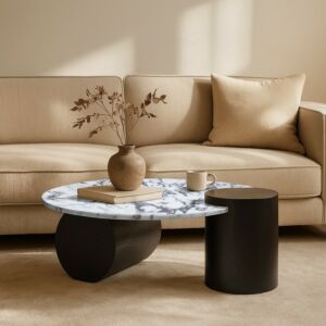 طاولة قهوة رونول - ابيض واسود