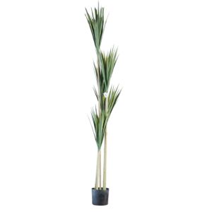 شجرة يوكا 200 سم