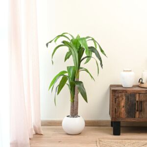 شجرة برازيلي صناعية - 140 سم