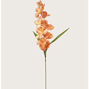 وردة  نبتة جلاديولس صناعي,/ خربزي