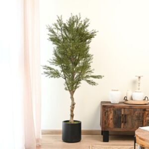 شجرة اروكاريا صناعية - 175 سم