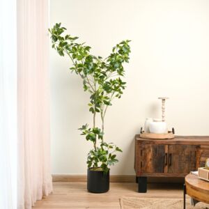 شجرة شفليرا صناعية - 160 سم