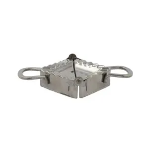 قالب صيني سكوالو - يندل