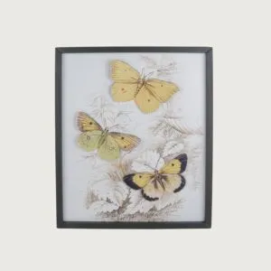 لوحة حائط فراشات