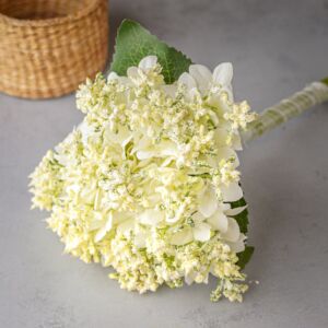 زهر صناعي هيلغا - سكري - 12 قطعة