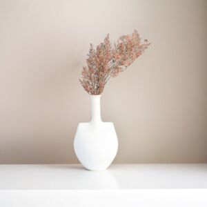 فرع نبتة شيح مكنسي - بني محمر - 12 قطعة