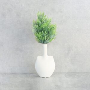 فرع نبتة أروكاريا - 12 قطعة