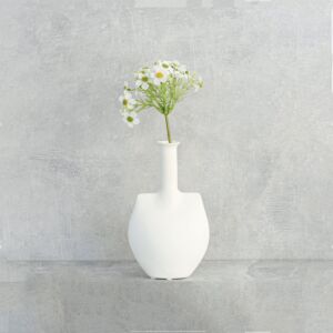 زهور بابونج ألماني