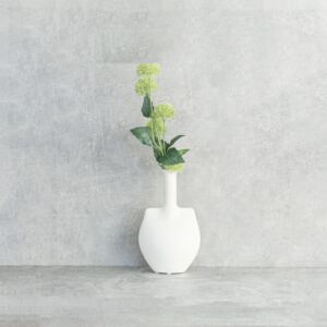 فرع نبتة العنق الزرقاء - اخضر