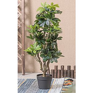 نبات صناعي فيرداي