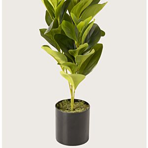 شجر صناعي, ورق مدور 50سم