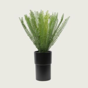 نبات صناعي فيفديل