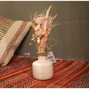 فازة نور