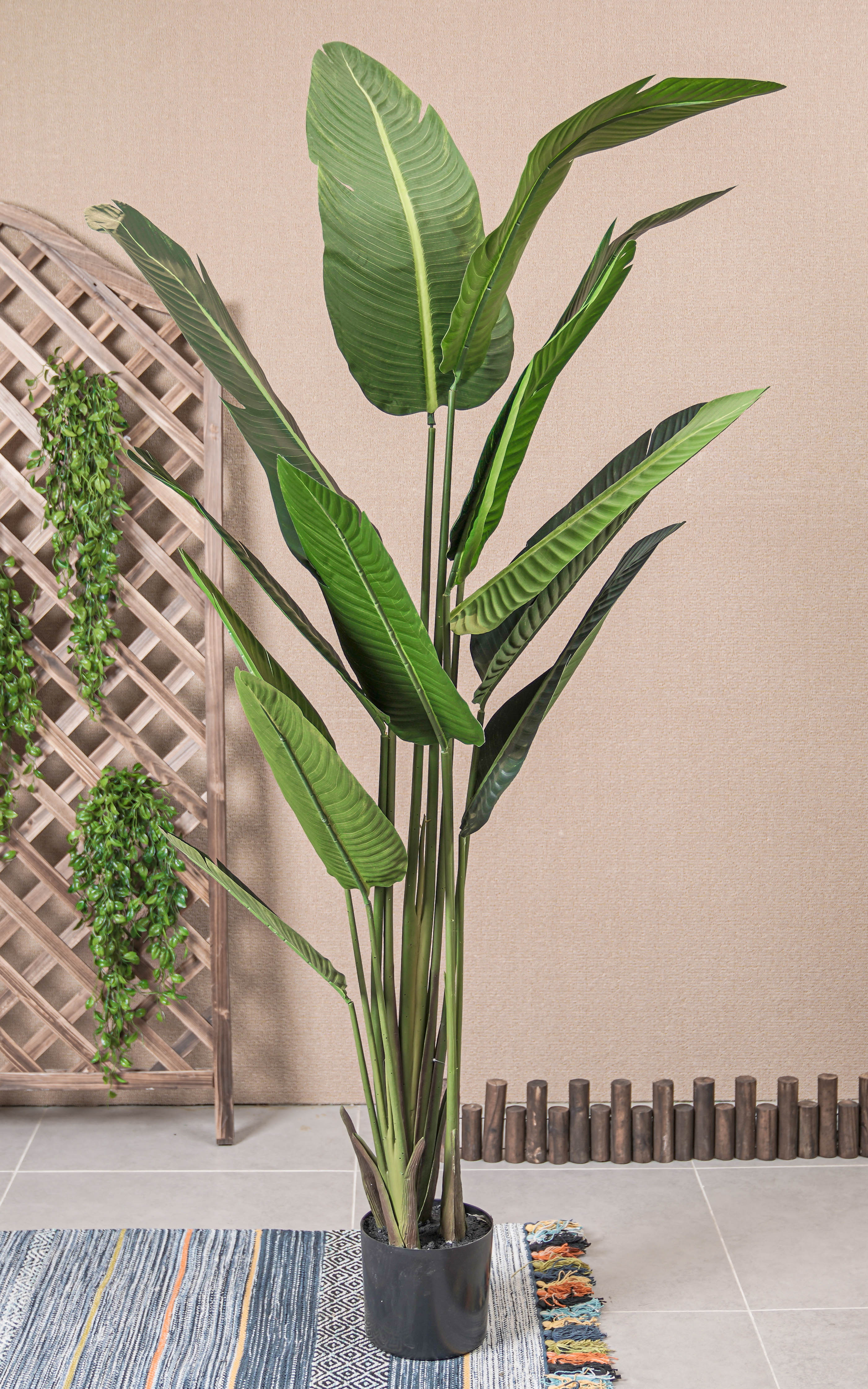 

نبات صناعي كلانشو - اخضر